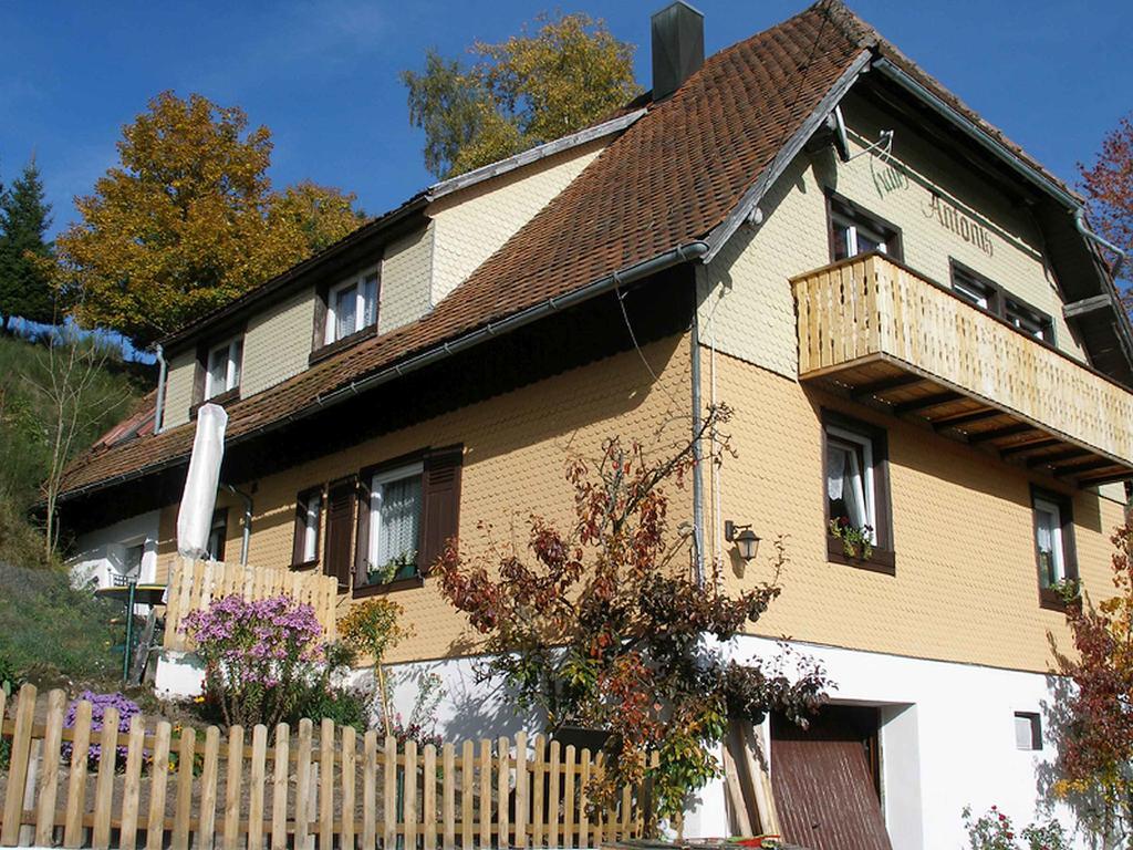 Haus Antonis Apartment Triberg im Schwarzwald Exterior photo