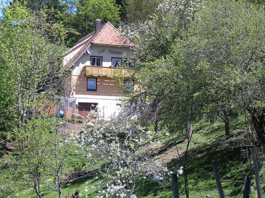 Haus Antonis Apartment Triberg im Schwarzwald Exterior photo