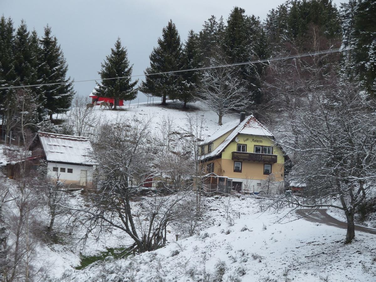 Haus Antonis Apartment Triberg im Schwarzwald Exterior photo